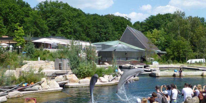 Delphinlagune im Tiergarten Nürnberg