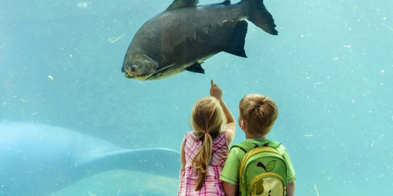 Blauer Salon im Tiergarten Nürnberg