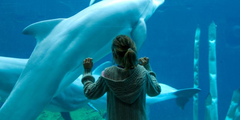 Blauer Salon im Tiergarten Nürnberg