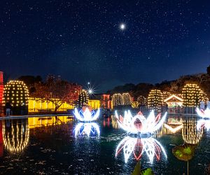 Christmas Garden Stuttgart
