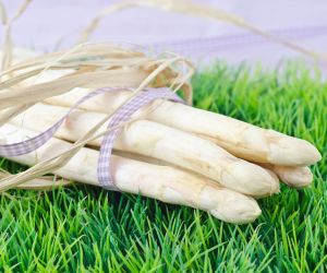 Dehner Gartenparadies & Spargel